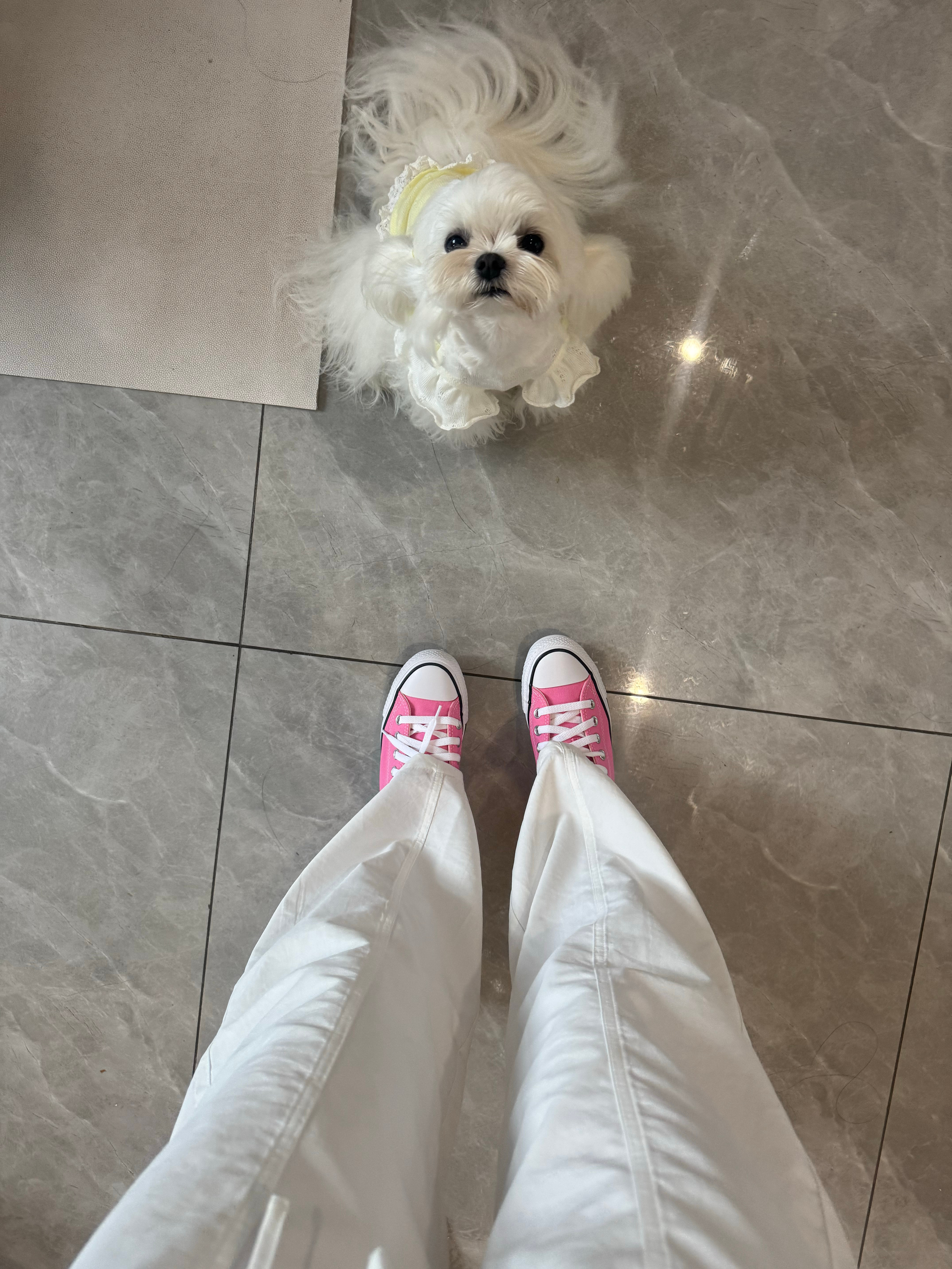 感觉粉色的好一点，平时可以搭白裤子啥的！我怎么感觉匡威要比以前小时候穿的舒服？很