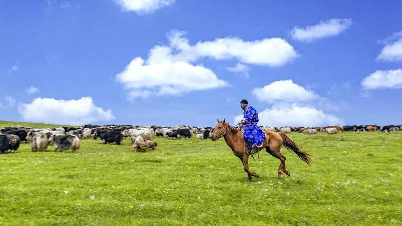 内蒙古包头禁飞区现蝴蝶状飞行物最近内蒙古包头禁飞区现蝴蝶状飞行物这事儿挺火。其