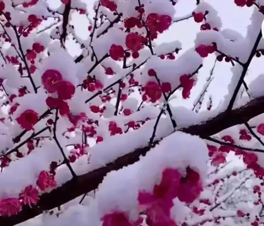 退休后不少老人突然闲下来，身体这儿疼那儿酸，心里也空荡荡没着落。公园里越来越多老