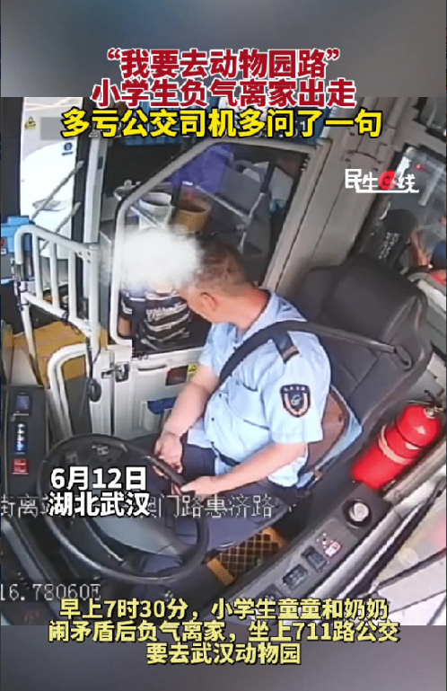 湖北武汉一名小男孩坐公交车去动物园。他上车后询问司机是否能到终点站动物园，司机回