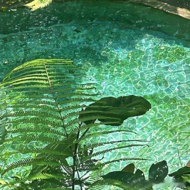 “毕竟西湖六月中，风光不与四时同”，夏日的西湖满是独特景致。夏日赏荷，看莲叶接天