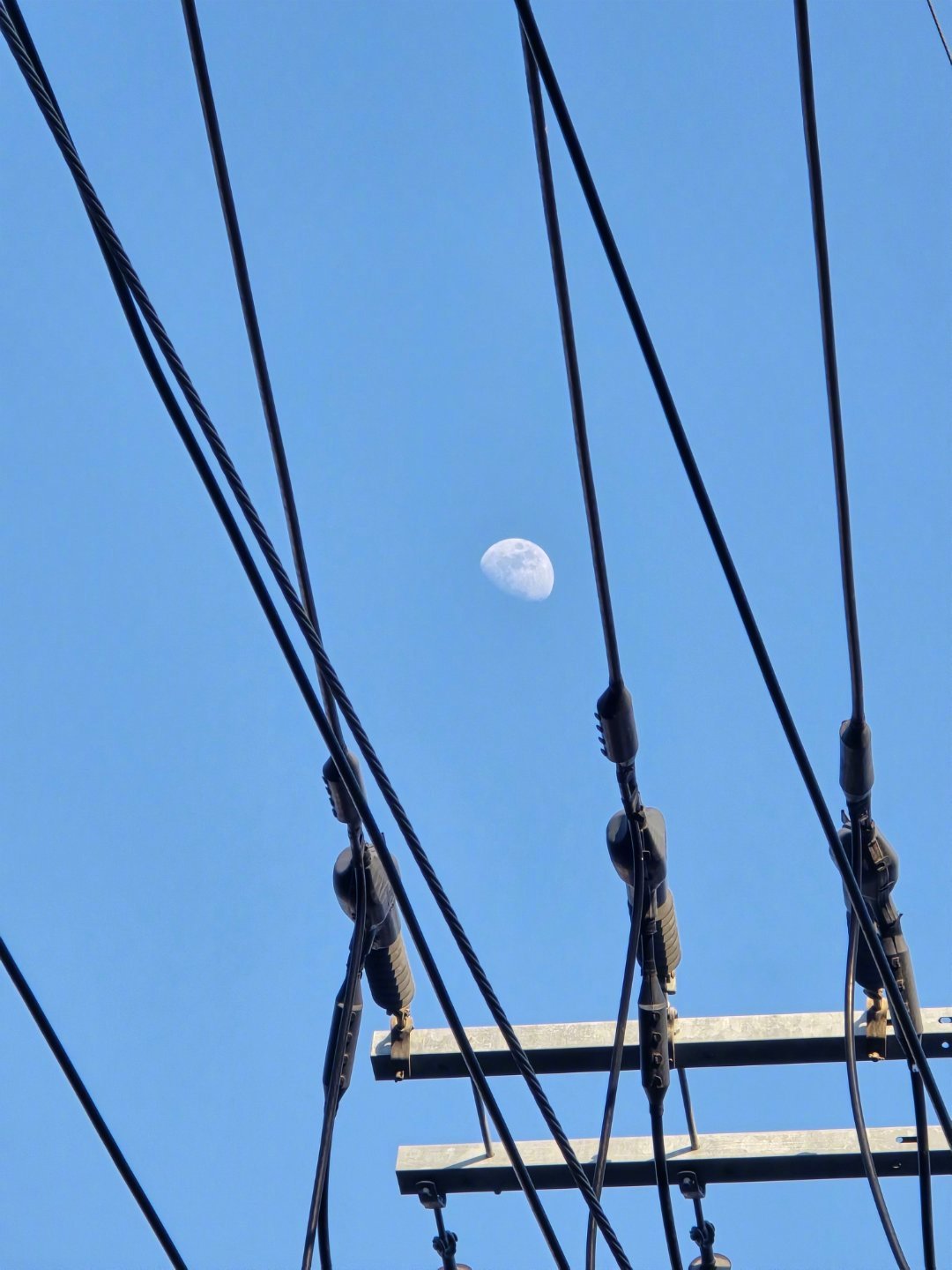 大白天也有月亮！都看到了吧~~