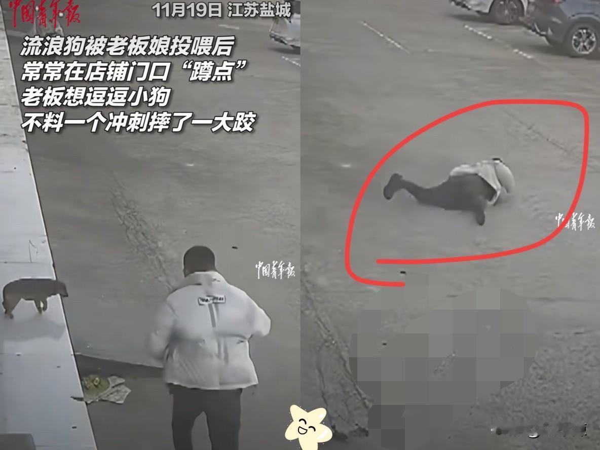 “丢人丢大了！”江苏盐城，老板娘见流浪狗瘦得可怜，好心喂了几次，结果狗狗直接把店