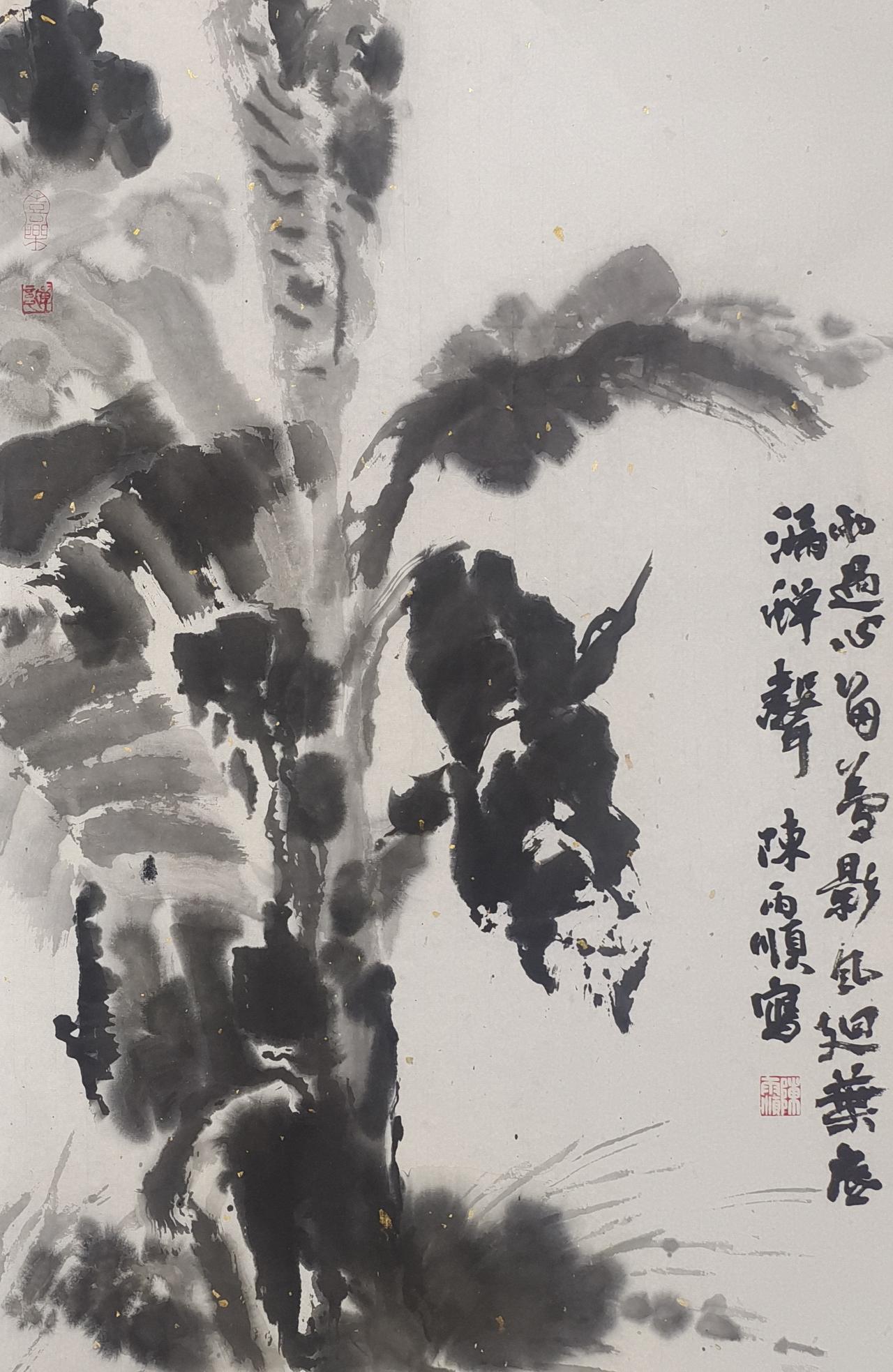 晒图笔记大赛时逢丙午小满前夜，醉雨初歇。余于夜色画室观芭蕉叶，那叶片宛如大