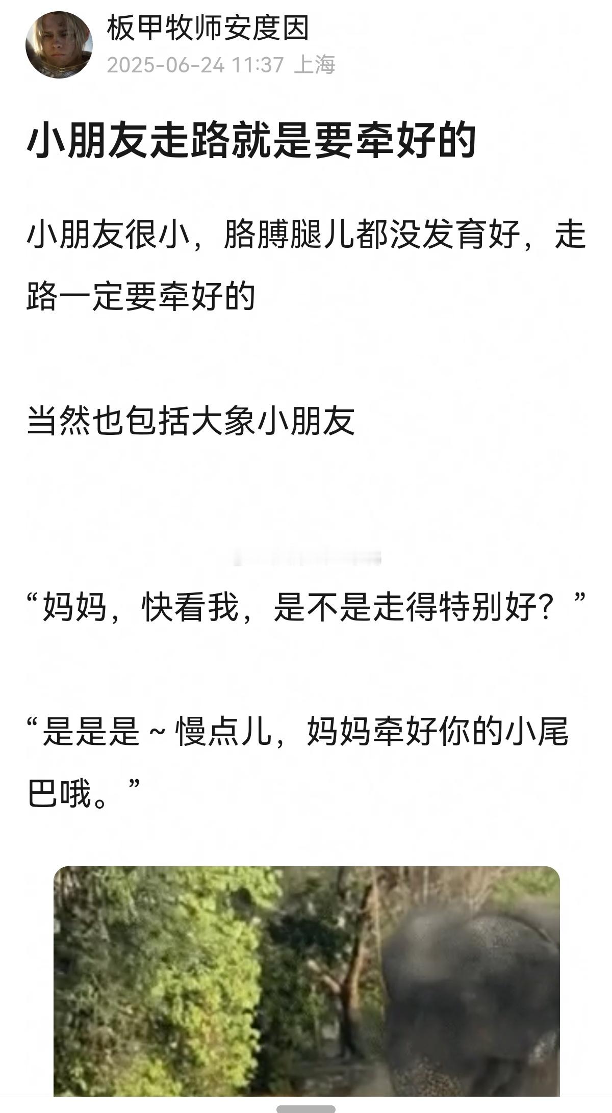 这个帖子好可爱好温馨啊，小象宝宝走路被大象妈妈牵好（牵的是尾巴~🐘🐘​​​