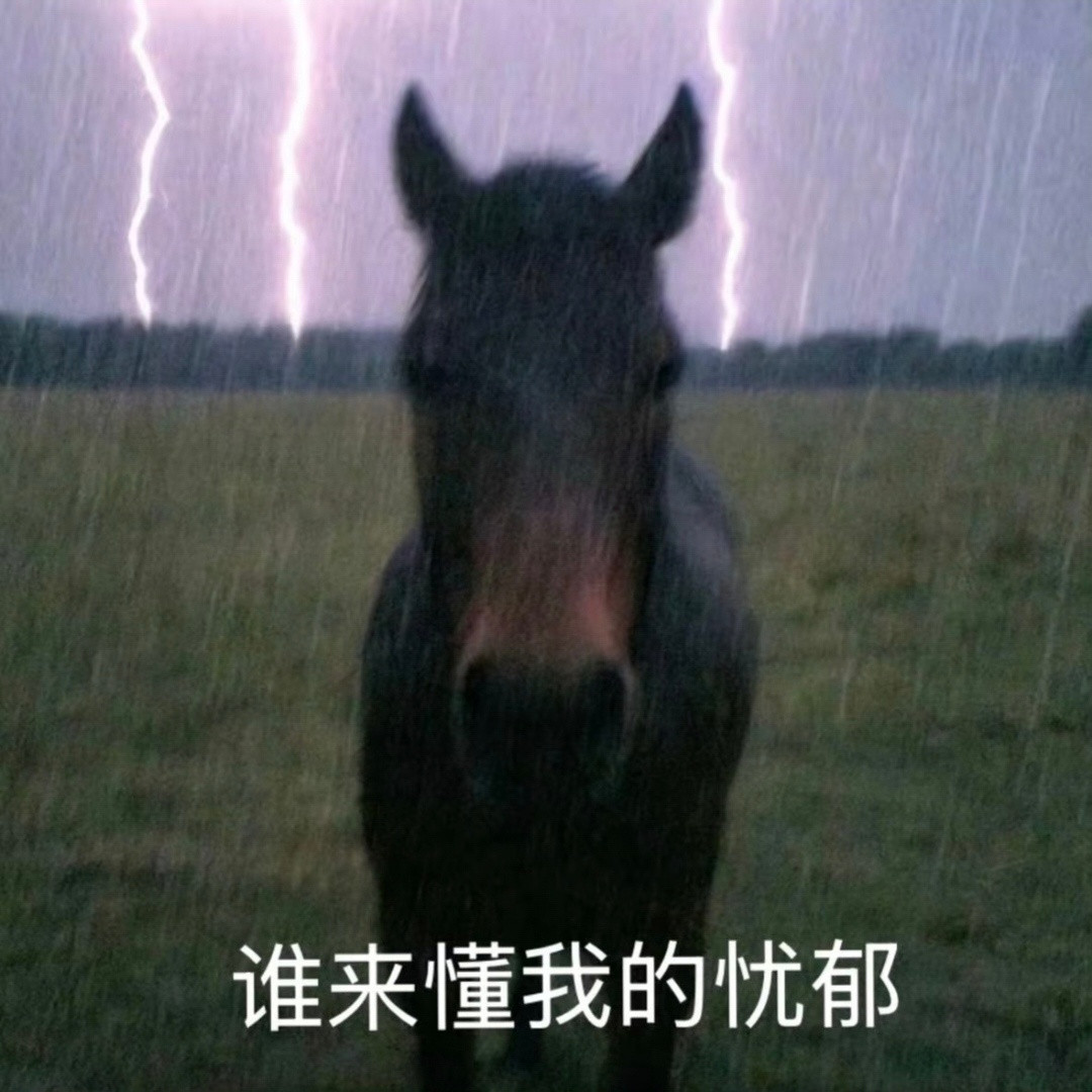 天气好极了，钱几乎没有。