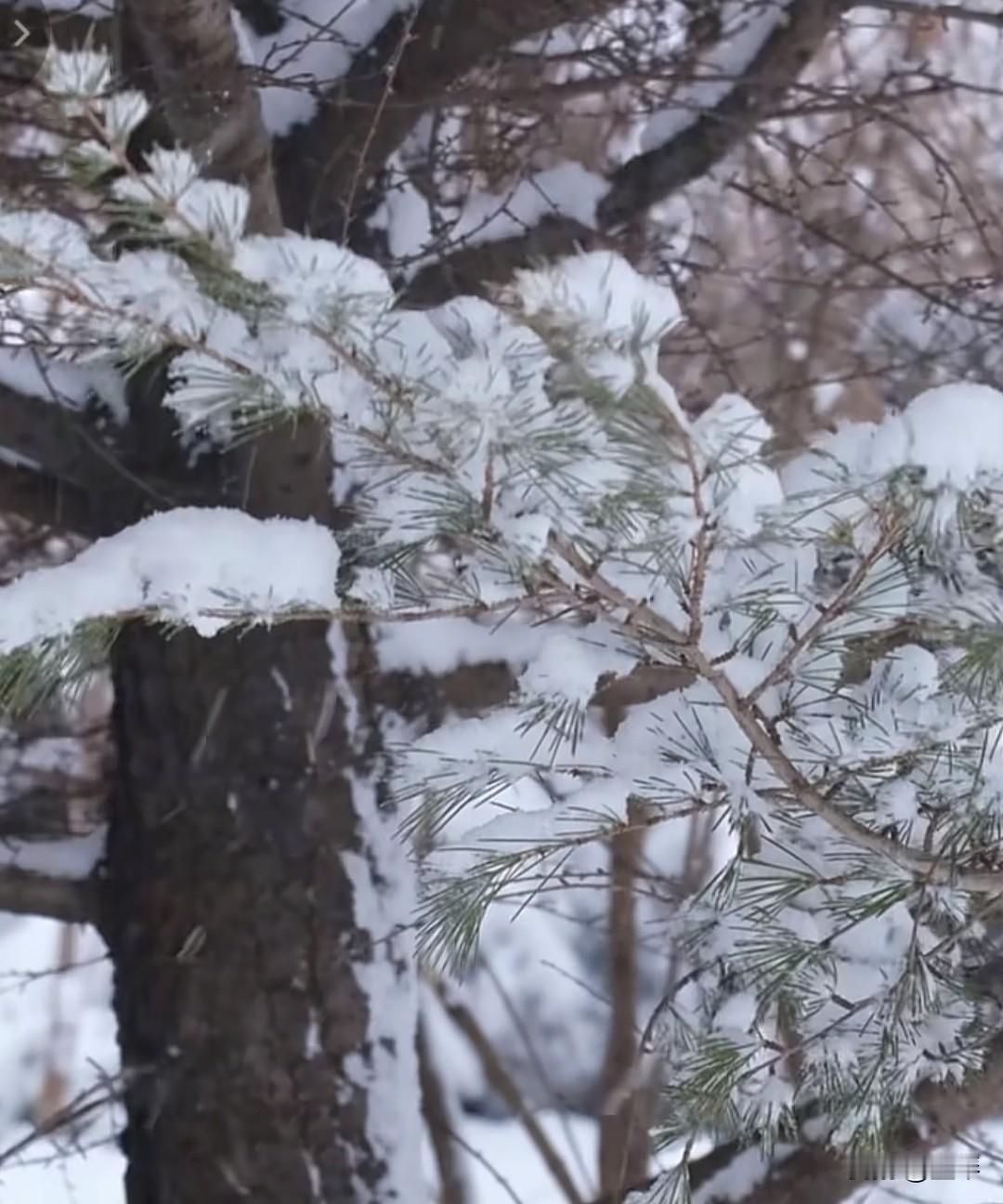 有专家经过调查70，80后普通人的婚姻中，女性如果能挣到钱的，那么在婚姻存续期间