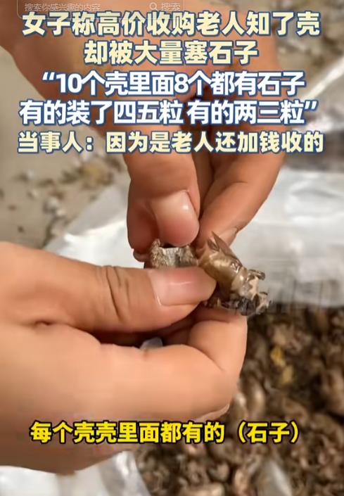 “坏了良心！”陕西铜川，一女子收购知了壳，看卖家是个老人，就将原本325元1斤的