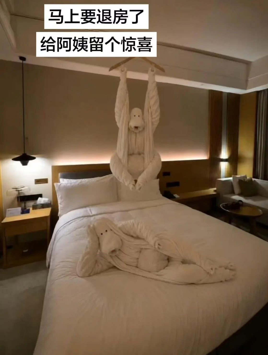 窝勒个乖乖~​​​