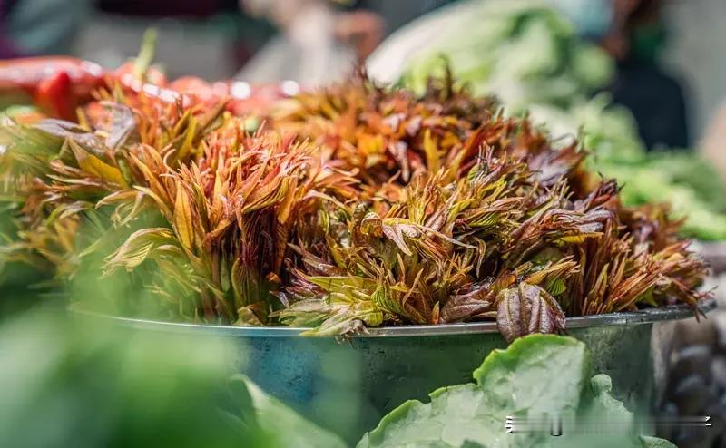 荒野求生“打野王”刀疤哥终于吃素了在荒野求生的世界里，“打野王”刀疤哥一直是吃