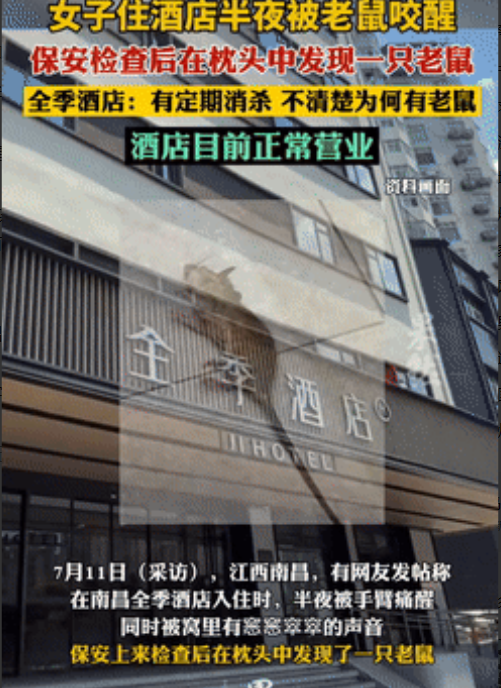 南昌这事儿真够膈应人的！女子半夜睡得正香，胳膊突然一阵钻心疼，迷迷糊糊还听见窸窸