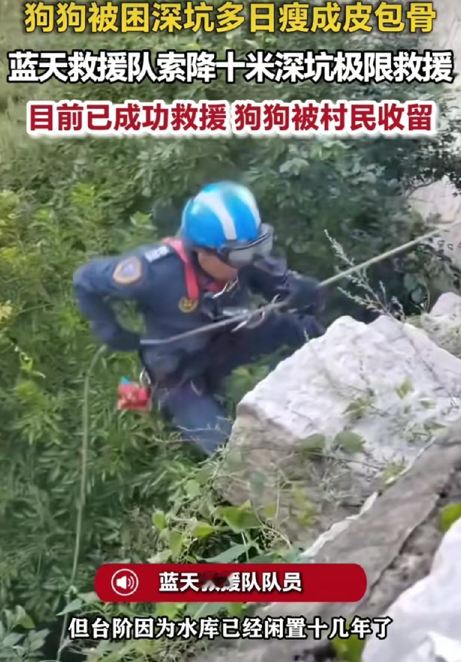 你敢相信吗？8月18日报道，一只无依无靠的流浪狗，长期在周边觅食生活，不慎坠入山