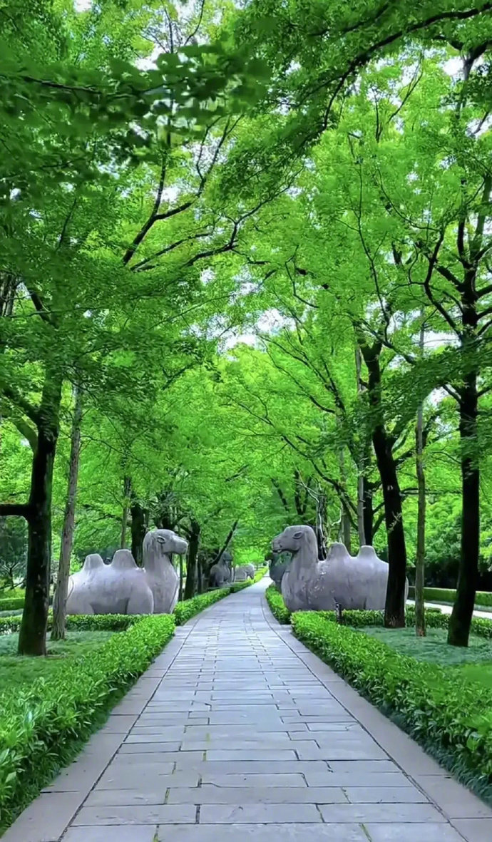 每看一分钟，就会得到一分钟的宁静......