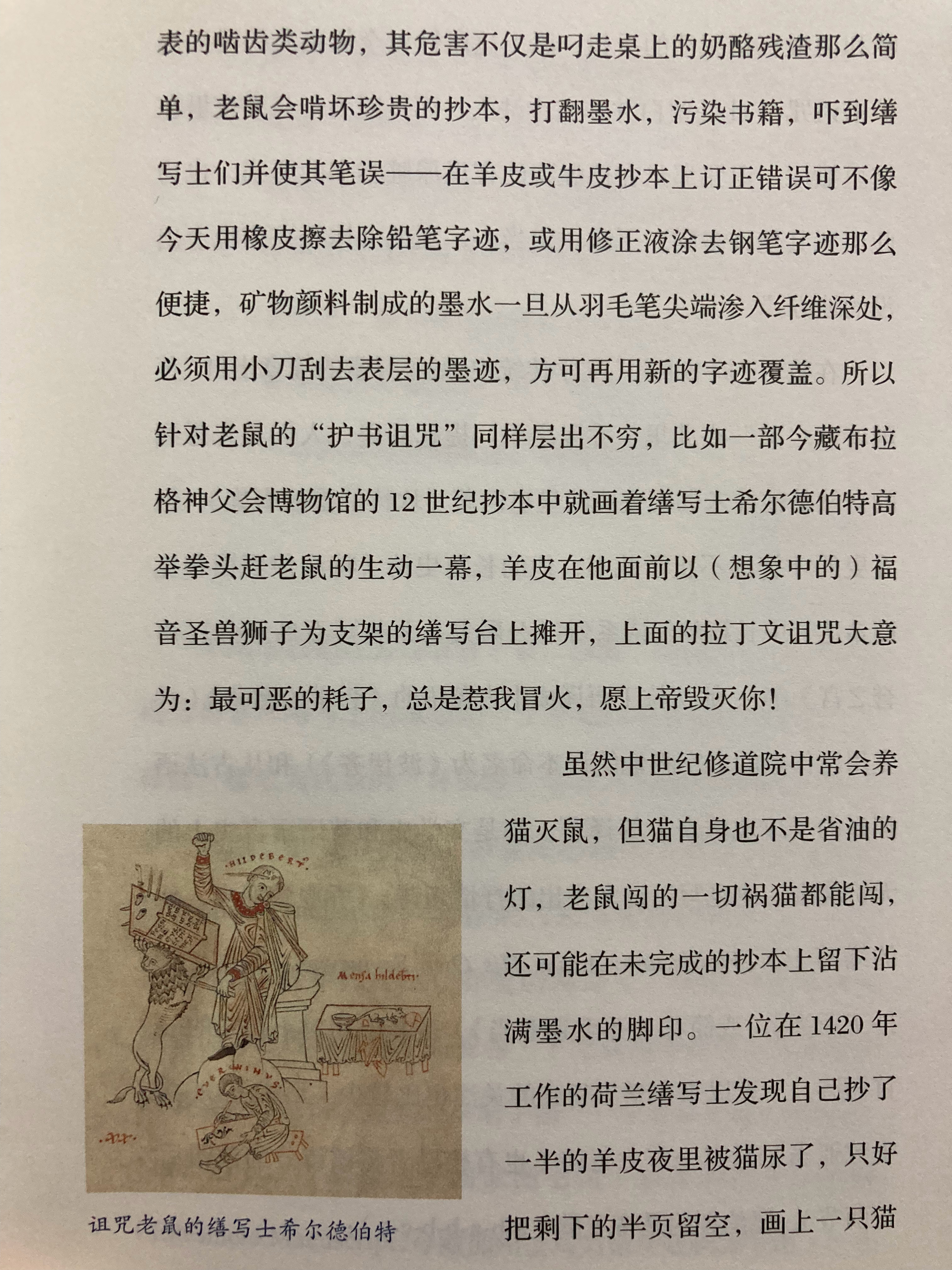 猫猫能有什么坏心思呢