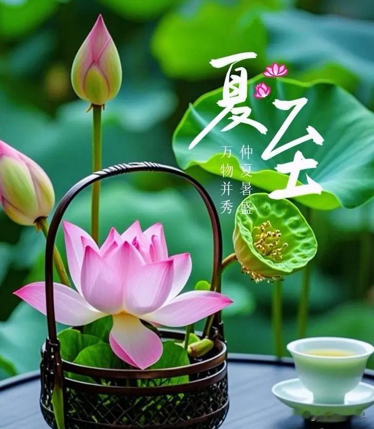 夏至保护阳气，顺应节气变化，养生注重“三宜”和“三忌”。夏至是二