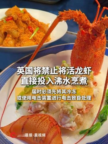 禁止活煮龙虾，真不算个啥，西方这样护生才是奇葩！英国人的“圣母心”又泛滥了