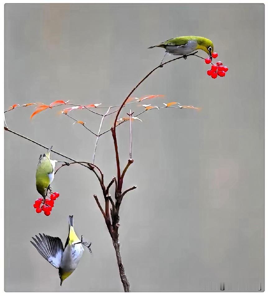 伺候失能老人两月，才懂晚年从不是岁月静好，而是直面最赤裸的现实！没经历过的人