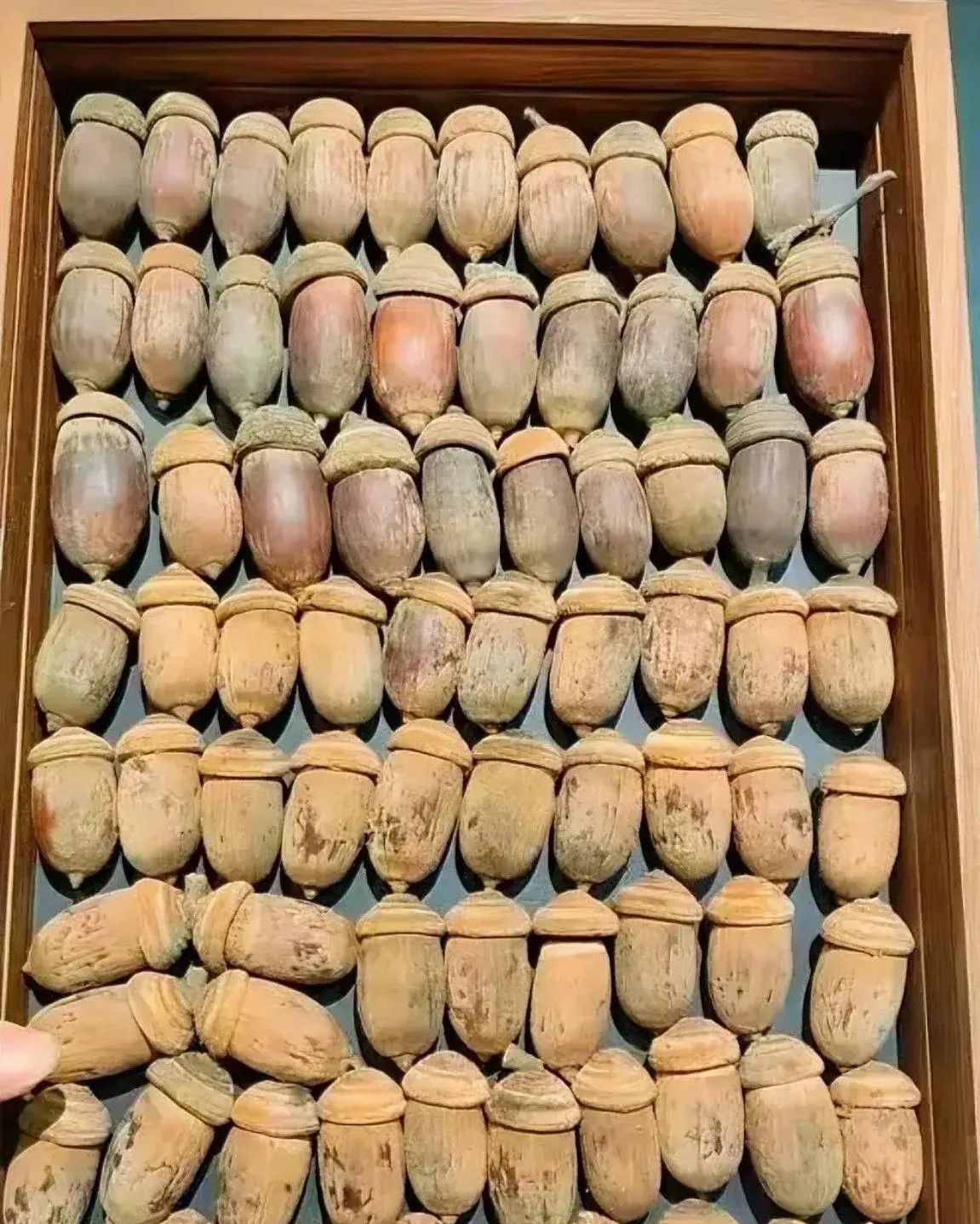96岁的爷爷去世前留给我的，打开箱子，瞬间蒙圈了，这是啥呀？干啥用的？值钱吗？据