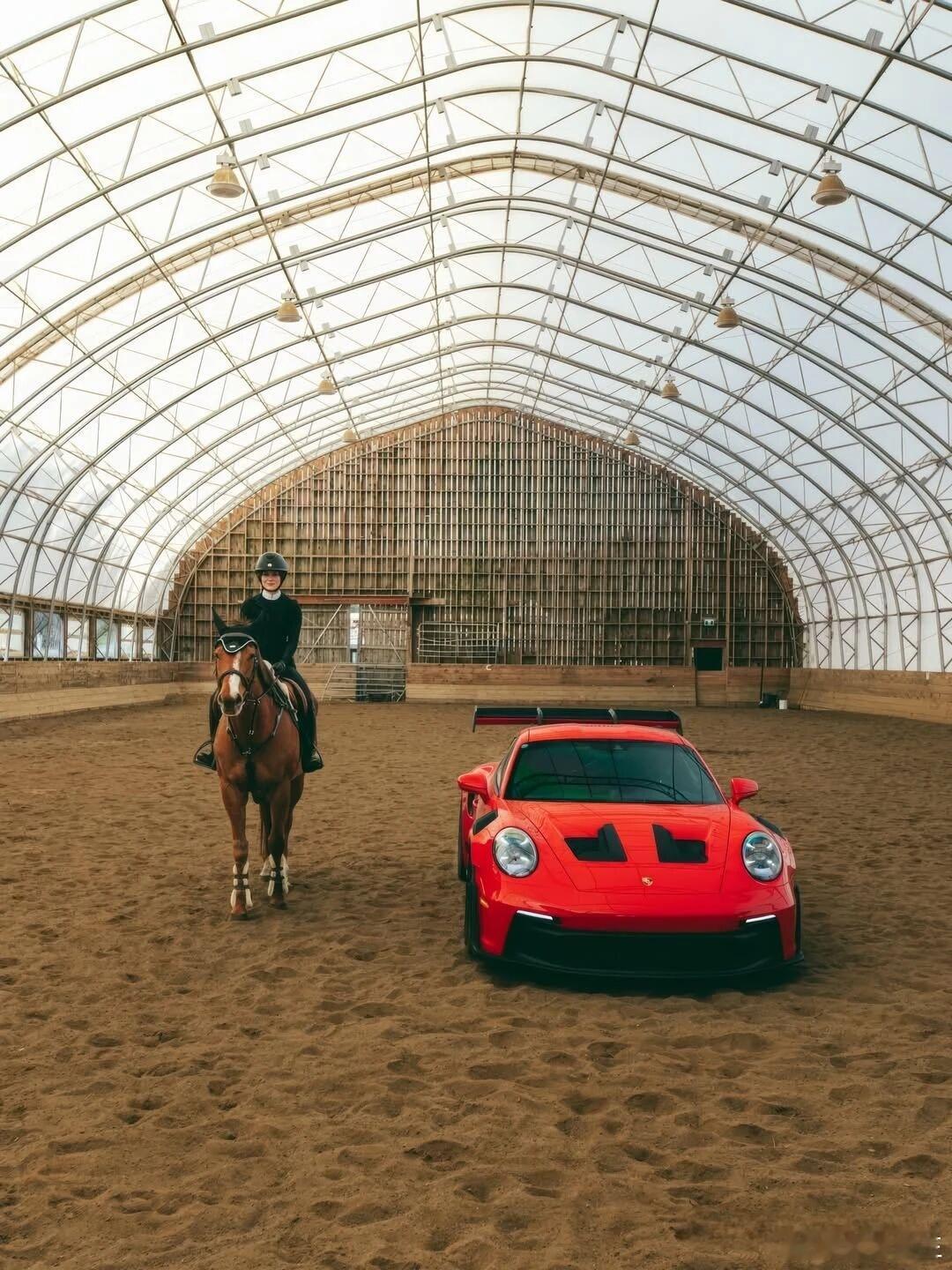 一马一车，两种跨越时光的速度浪漫。骏马承载古典驰骋的风骨，保时捷911GTR