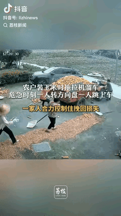 “太厉害了！”安徽宿州，一家农户刚装好玉米，不料拖拉机突然溜坡，眼瞅着就要连