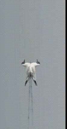 看了好多遍，后来在评论区找到答案，幡然醒悟！