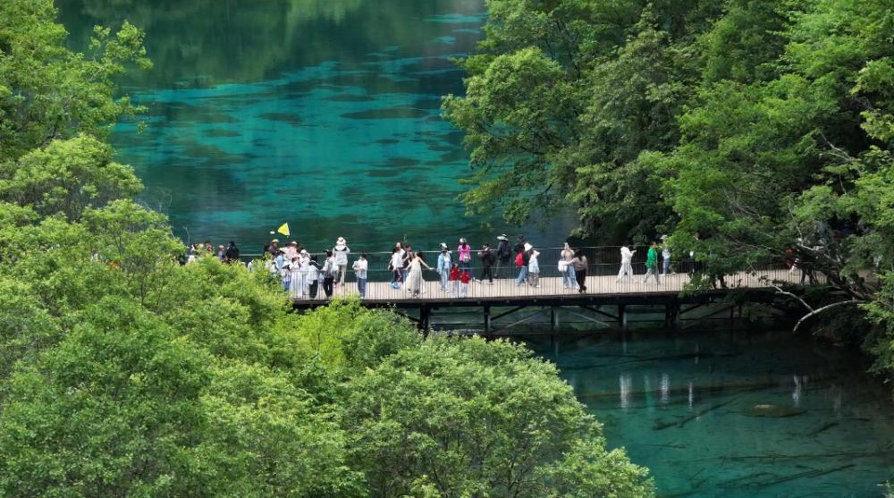 九寨沟湖水靠染色才呈现蓝色? 官方辟谣并详解斑斓水色成因