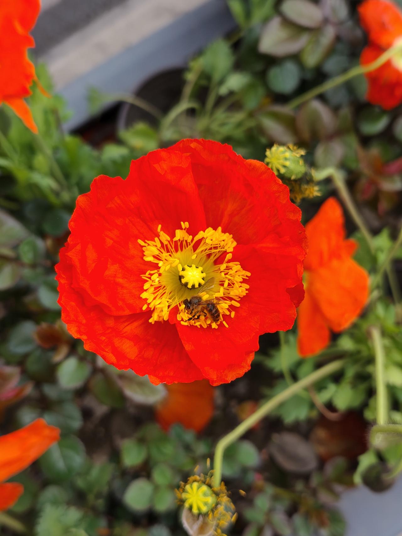 我超级喜欢一个人独处！以前上班时忙得晕头转向，压根没机会好好与自己相处。退休之后