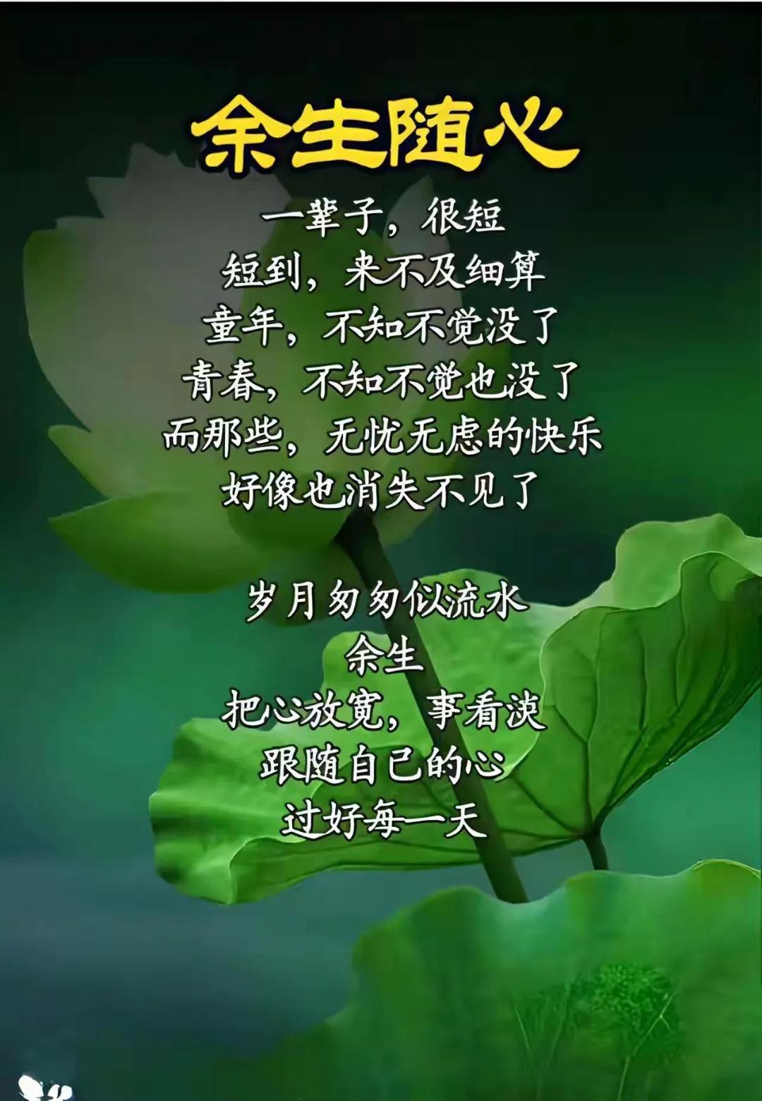 我很相信佛家人说过的一段话：不要赌天意，不要猜人心，天意你赌不起，人心你猜不透。
