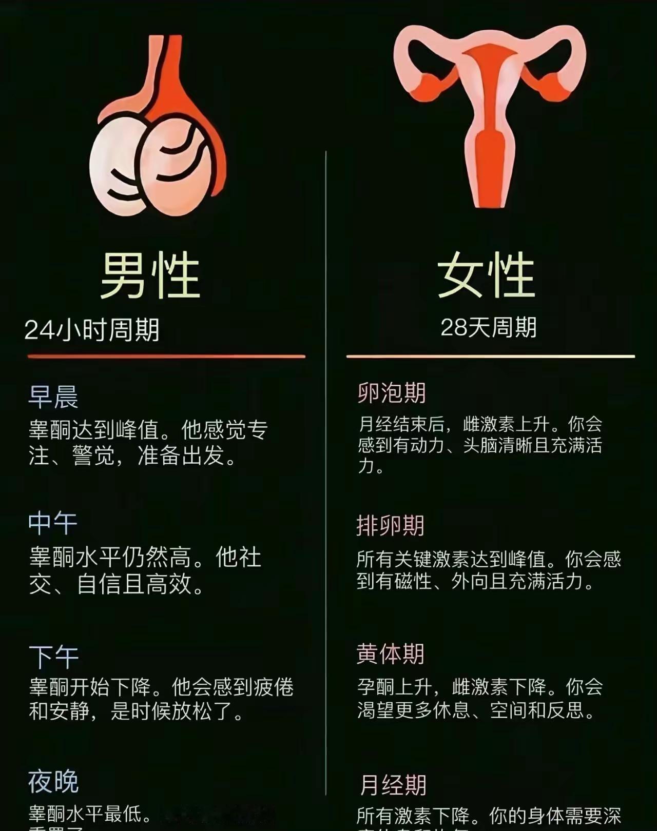 看看就明白了吧😁