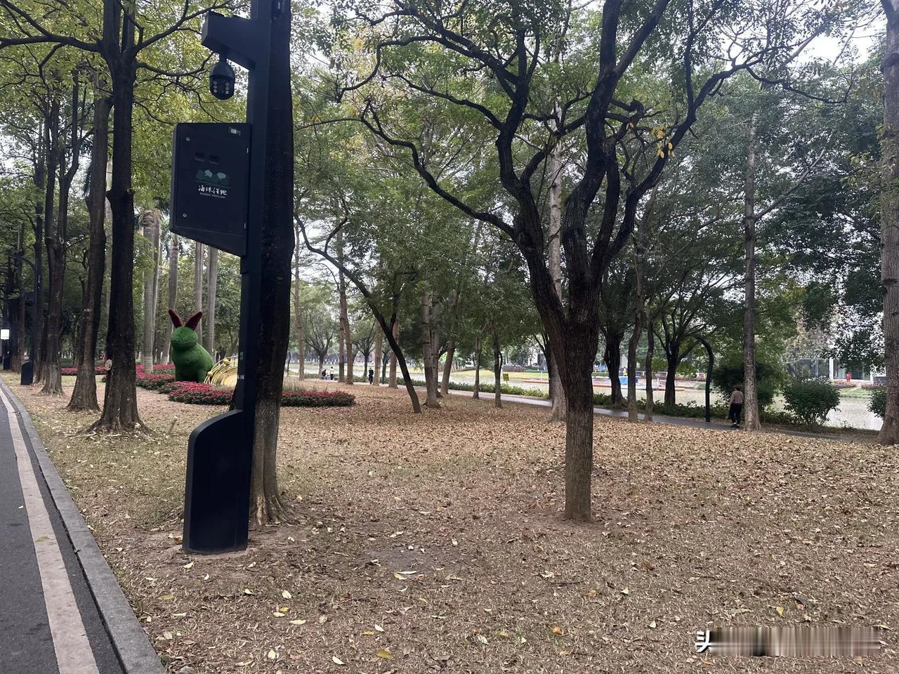 现在的人都戒烟戒酒是为了什么?你们发现没？现在身边戒烟戒酒的人真是越来越多了