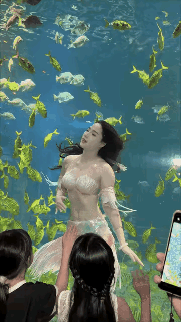 昨天，我带着儿子去了海洋馆。他跟我说：等他长大赚了钱，也要买条这样的鱼养在