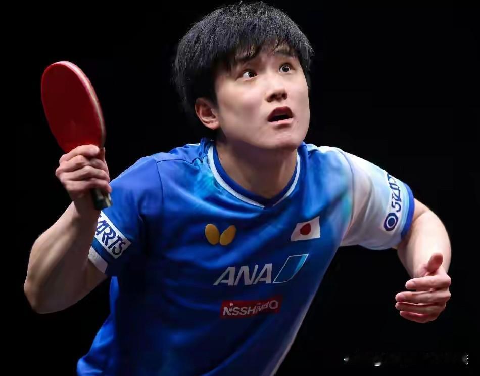 张本智和似乎变得更强了，接连突破国乒2道防线，新年首站两连胜仅丢一局，强势打进男