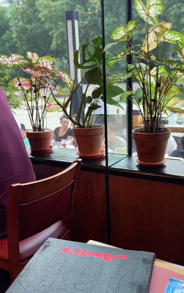 宋丹丹和儿孙外出用餐，65岁年纪40岁样貌，和巴图促膝长谈真亲近说起宋丹丹