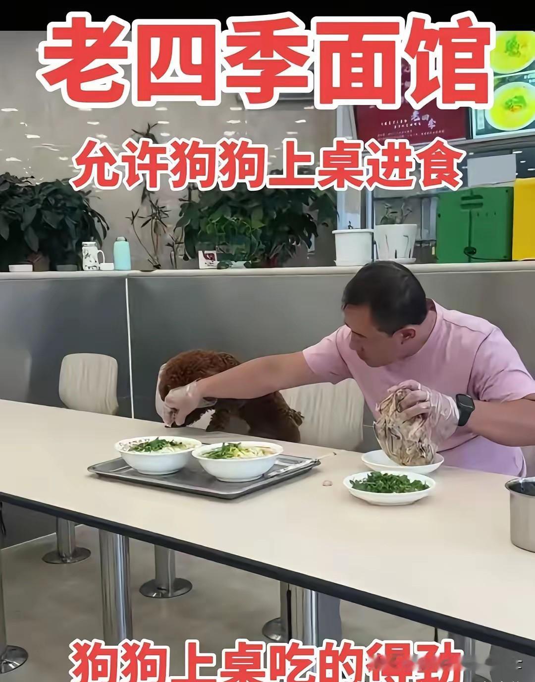 “狗进饭店”的争议蔓延到了沈阳，本地老牌面馆老四季因此陷入舆论风波。此前已有多家