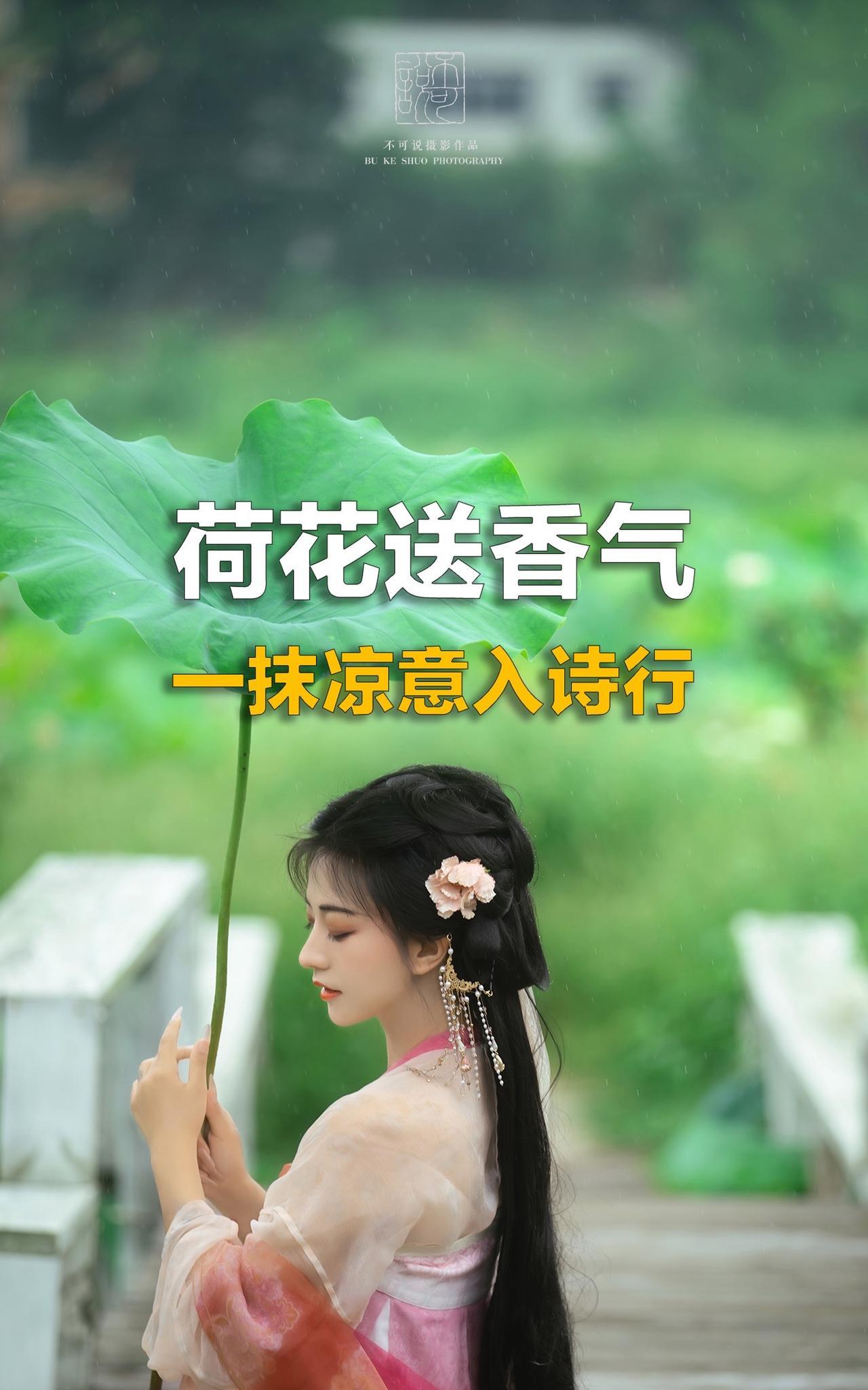 蝉鸣渐歇，撷一缕清凉，染就夏日诗笺。#抖音摄影美学大赏#国风古韵#荷花