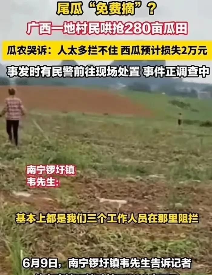 最近安徽宿州出名了，先有村民哄抢土豆，昨天突然天降冰雹，砸坏了许多农作物、汽车和
