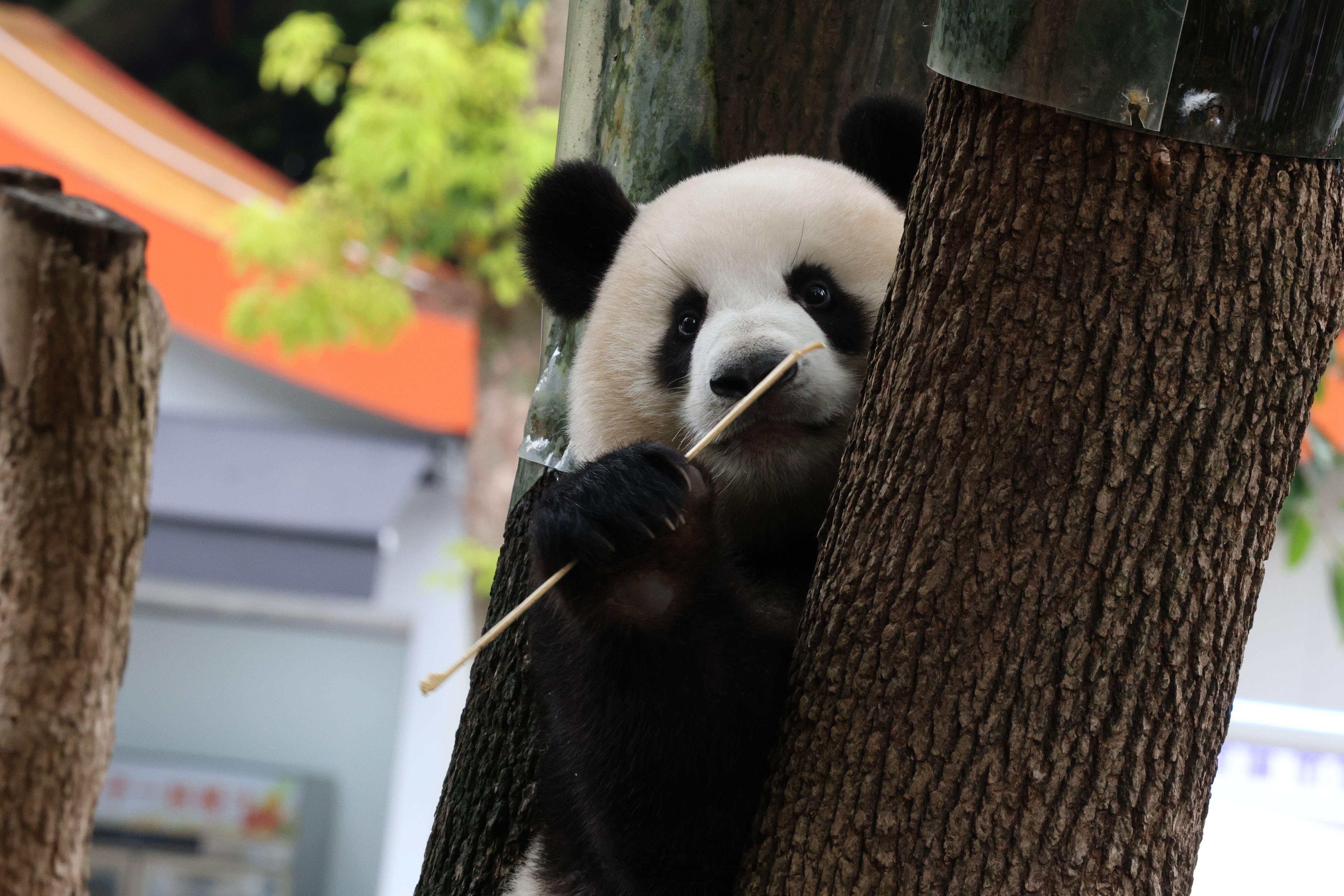 小五宝宝你怎么这么可爱​​​