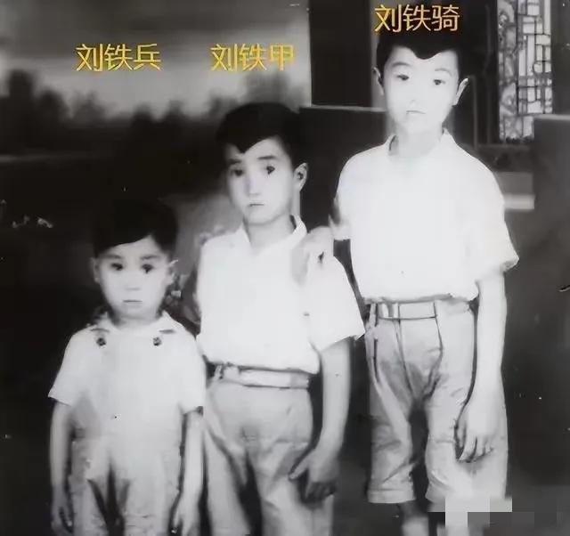 1951年，刘青山被处死，十几年后，他的大儿子考上了石油学院，却因政审被拒。于是