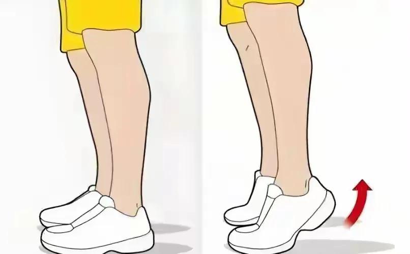 别小瞧踮脚这个小动作，它对身体益处多多。我自己每天都会抽时间踮踮脚，感觉挺不错。