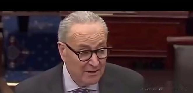 舒默急着喊话：“都站在关门悬崖边了，全因共和党不认真，非要逼我们接他们的党派法案