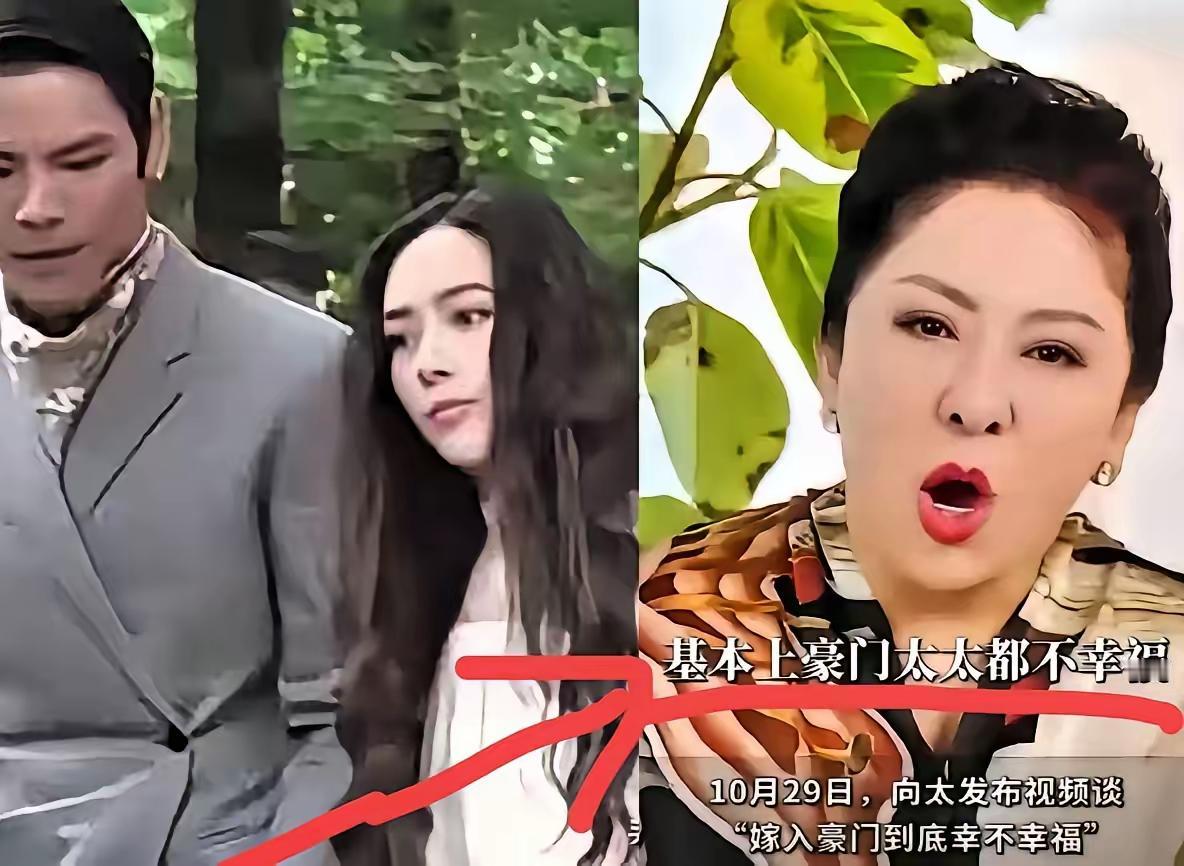 天啊！向太不会要学张兰撕儿媳妇了吧！我们都知道张兰开直播老把前儿媳当素材。网友们