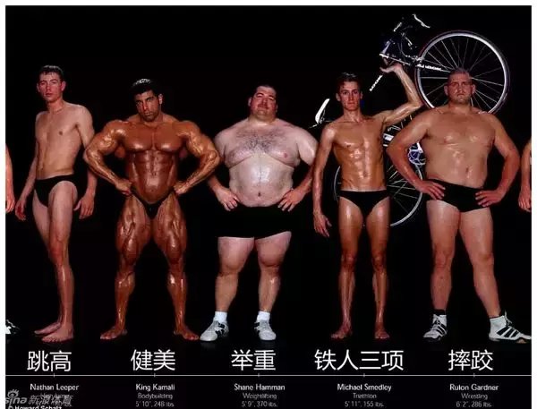 各种体育运动的身材