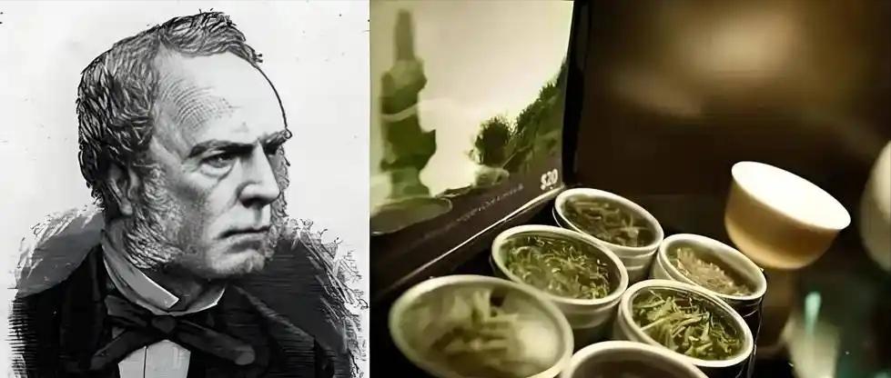 核心技术保密到底有多重要？看看19世纪的茶叶就知道了！英国人福钧深入大山，记录下