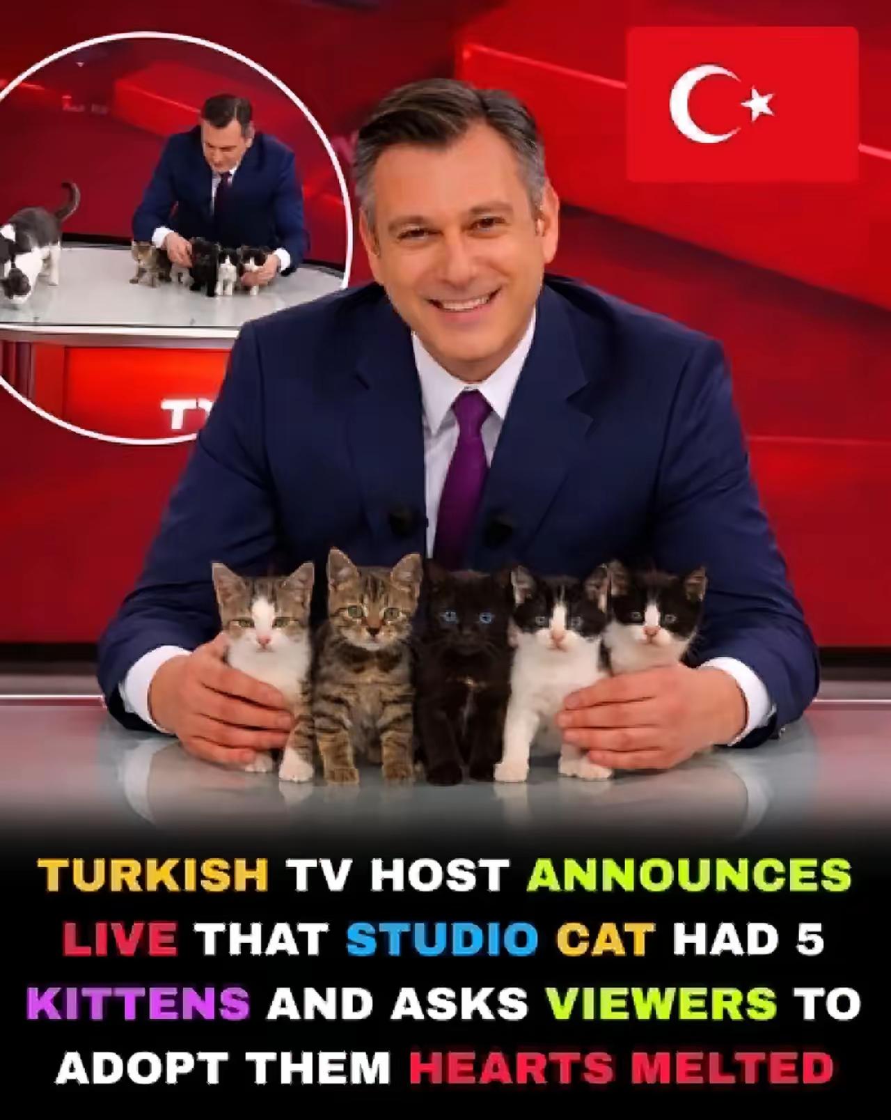 看看图片里的帅大叔，那个笑容，就让善良这个词，有了具象的样子。这是个有意思的事