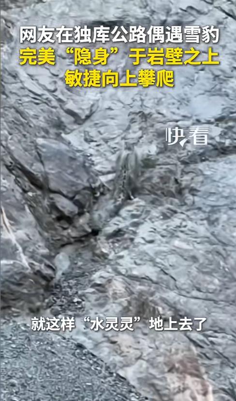 "被新华社报道了！"新疆，一对男女开车行进在独库公路上，副驾驶女子无意间抬头瞥