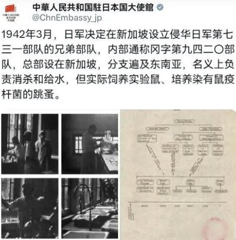 阿道夫·希特勒屠杀了600万犹太人，犹太人愿意原谅他吗？安德鲁·杰克逊主导的