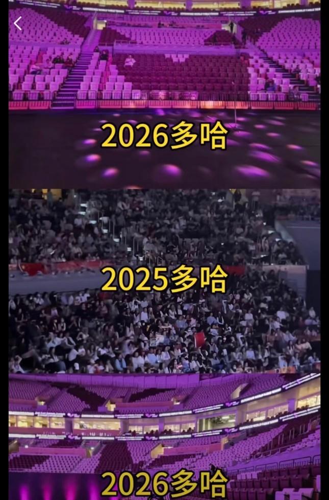 这回多哈冠军赛最闹心的不是有腰伤的王曼昱也不是要稳住男队的林诗栋，而是那