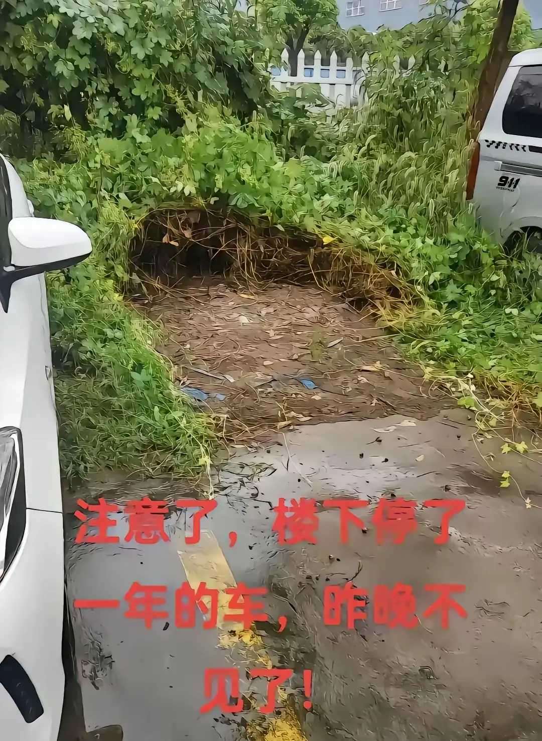 就问你们怕不怕