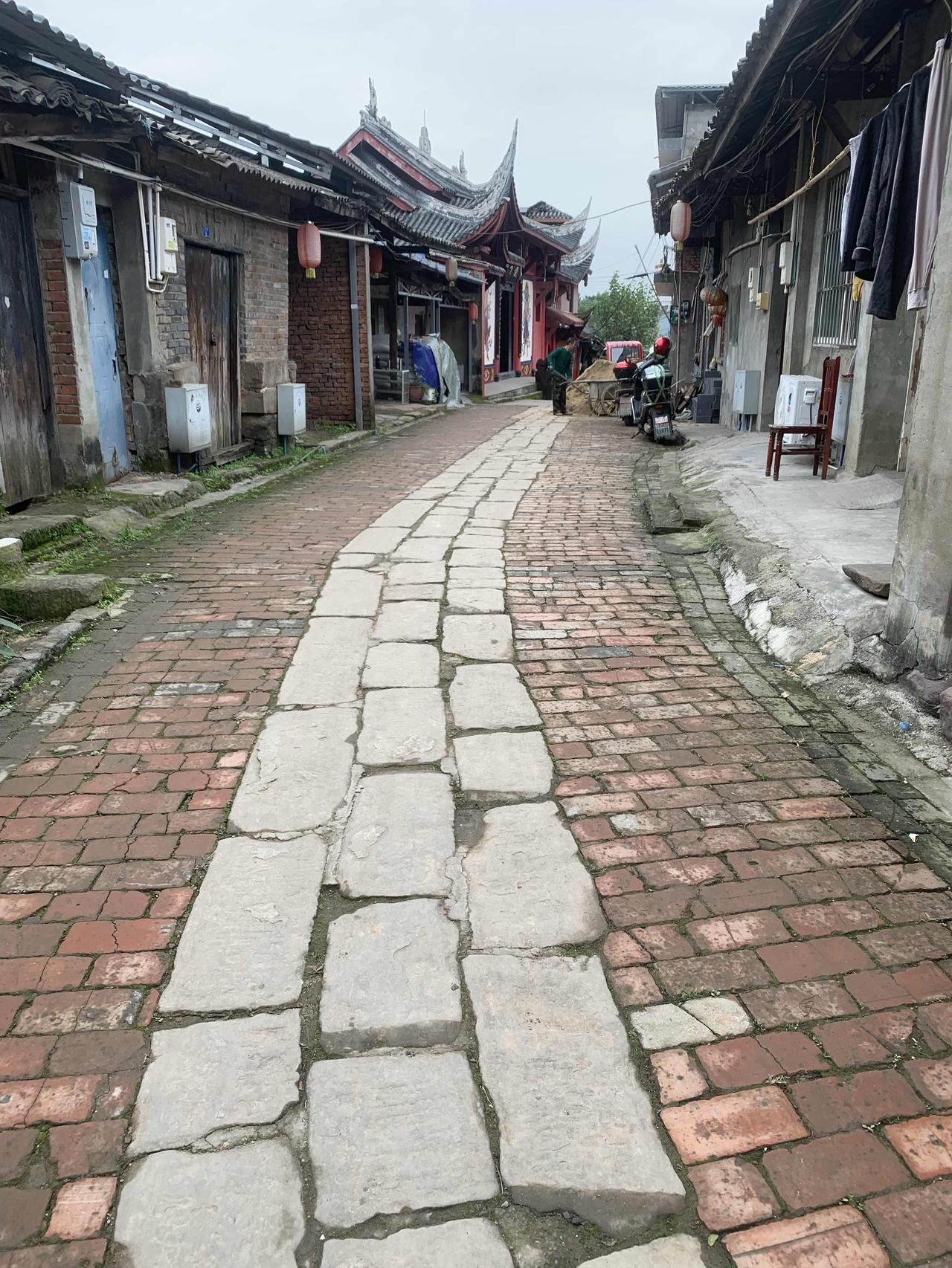 千万别给养狗久了的人讲道理，他们可能会失去人性，对他人逐渐有了攻击性，实在可怕。