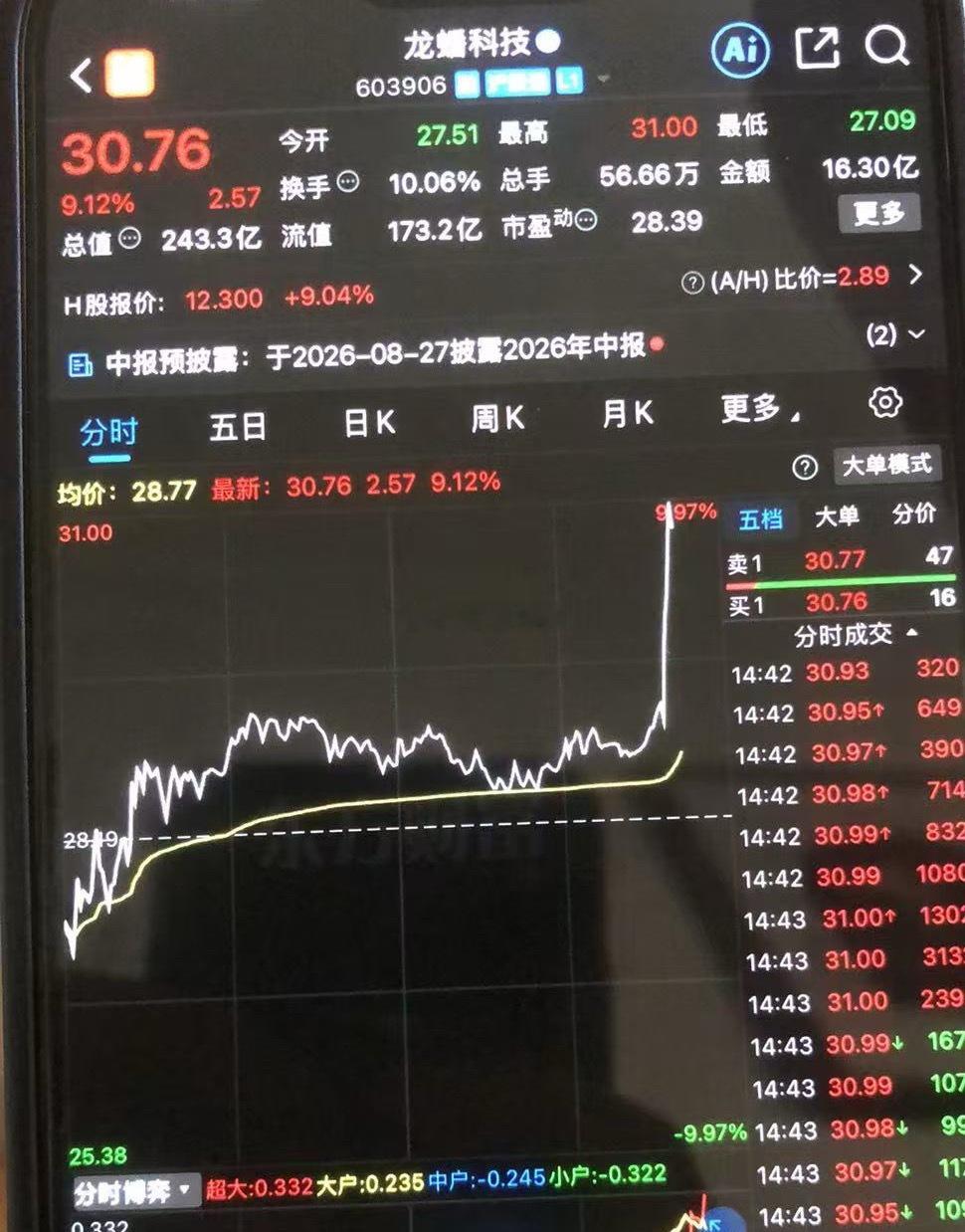 龙蟠科技sh603906尾盘想来个暴力拉升收个漂亮大长腿，冲高还是被